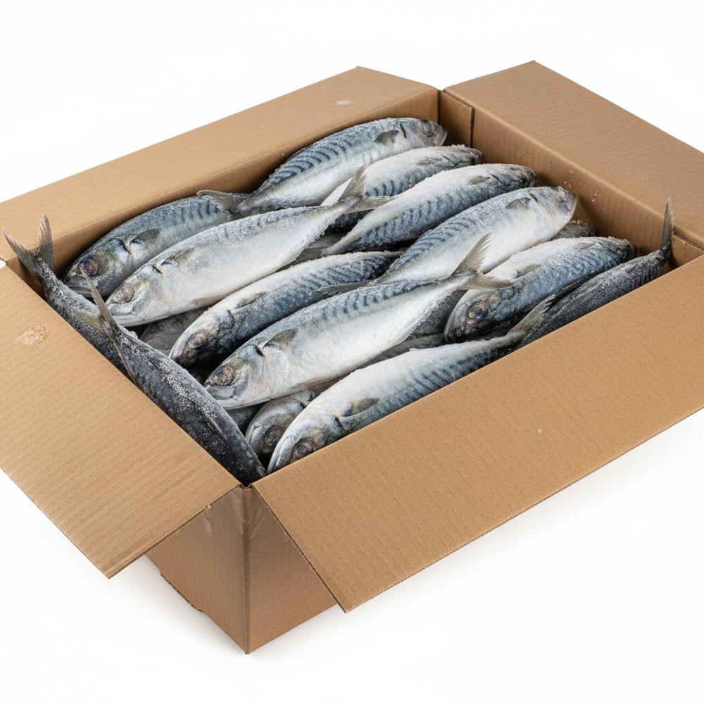 Chinchard congelé — carton 20 kg