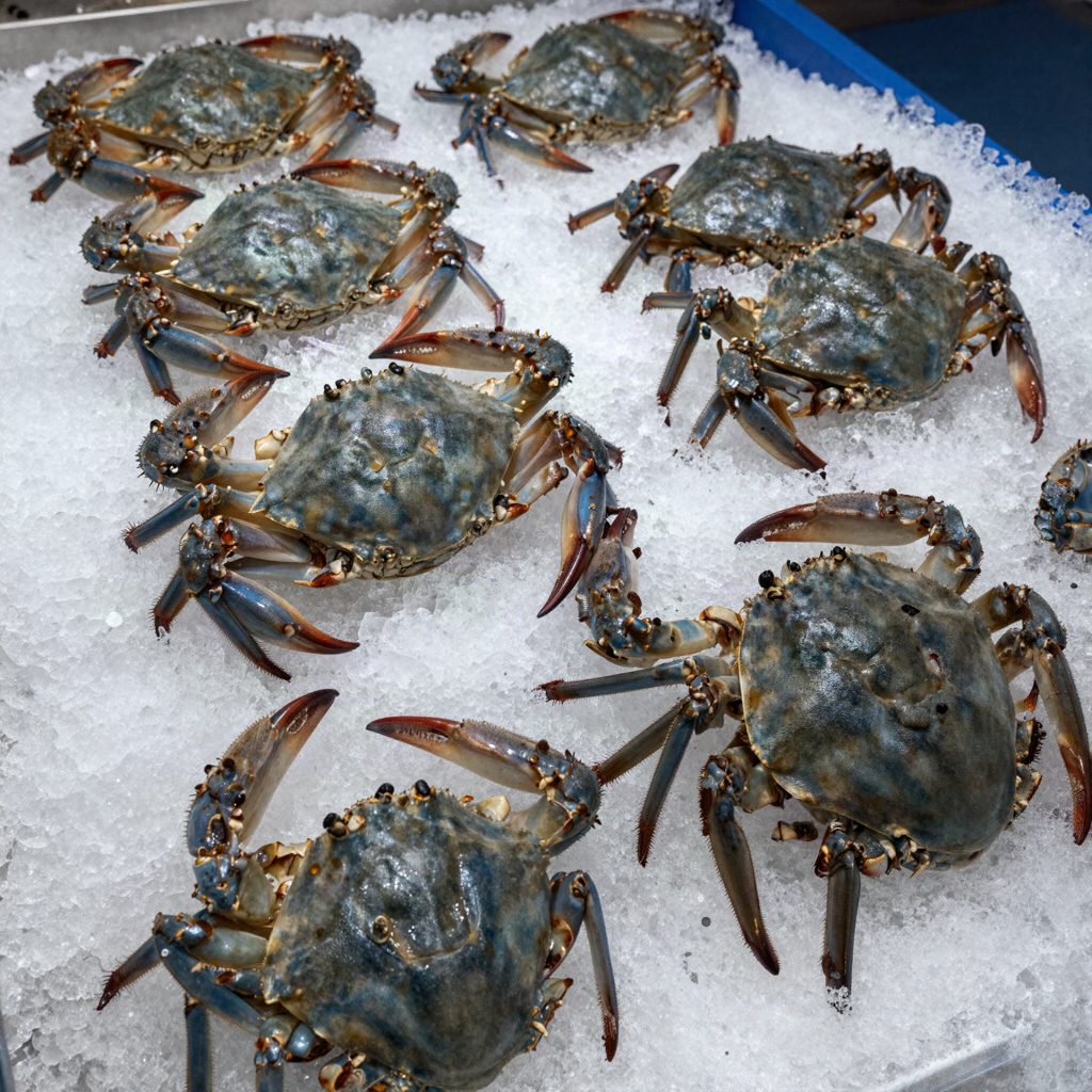 Crabe de mer